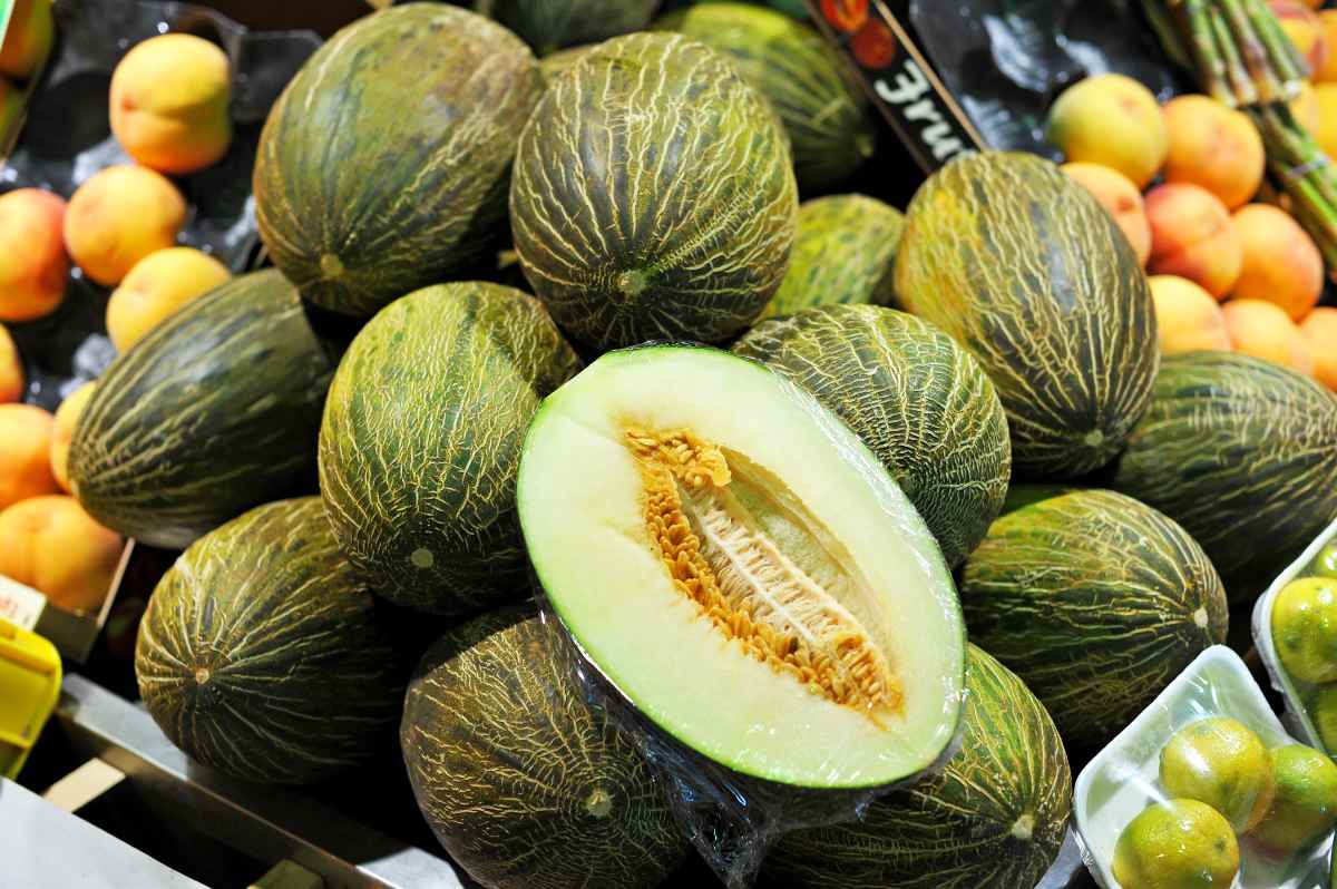 Como elegir un buen melon, paso a paso